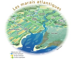 Marais atlantiques