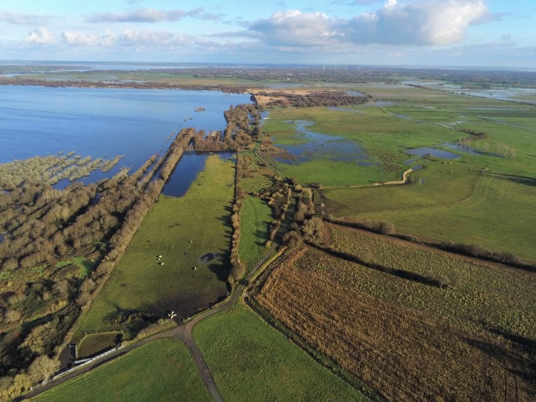 Tourbière de Sèves, Ghedouin © PNR des marais du Cotentin 